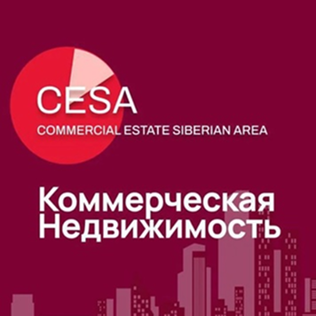 Цифровизация управления: профессионалы рынка коммерческой недвижимости открывают для себя D-meet